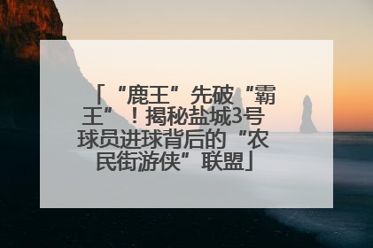 “鹿王”先破“霸王”！揭秘盐城3号球员进球背后的“农民街游侠”联盟