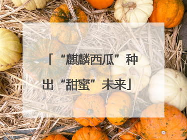 “麒麟西瓜”种出“甜蜜”未来