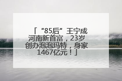 “85后”王宁成河南新首富，23岁创办泡泡玛特，身家1467亿元！