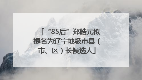 “85后”郑皓元拟提名为辽宁地级市县（市、区）长候选人