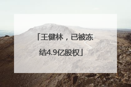 王健林，已被冻结4.9亿股权