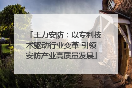 王力安防：以专利技术驱动行业变革 引领安防产业高质量发展