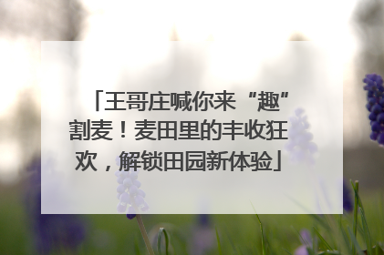 王哥庄喊你来“趣”割麦！麦田里的丰收狂欢，解锁田园新体验