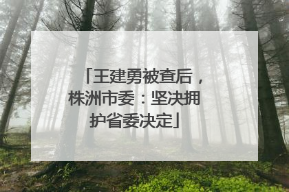 王建勇被查后，株洲市委：坚决拥护省委决定