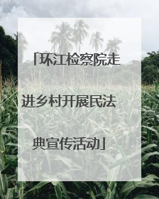 环江检察院走进乡村开展民法典宣传活动
