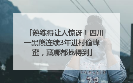 熟练得让人惊讶！四川一黑熊连续3年进村偷蜂蜜，藏哪都找得到
