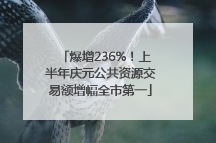 爆增236%！上半年庆元公共资源交易额增幅全市第一
