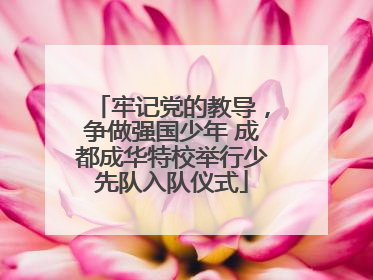 牢记党的教导，争做强国少年 成都成华特校举行少先队入队仪式