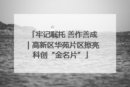牢记嘱托 善作善成｜高新区华苑片区擦亮科创“金名片”