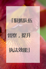 狠抓队伍督察，提升执法效能