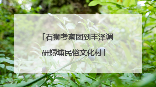石狮考察团到丰泽调研蟳埔民俗文化村
