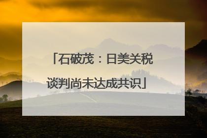 石破茂：日美关税谈判尚未达成共识