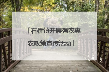 石桥镇开展强农惠农政策宣传活动
