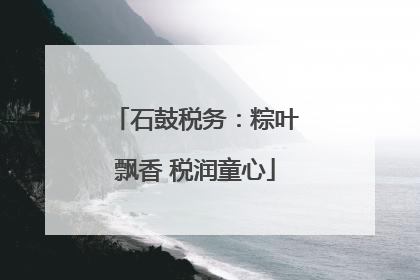 石鼓税务：粽叶飘香 税润童心