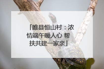 睢县恒山村：浓情端午暖人心 帮扶共建一家亲