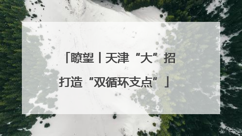 瞭望丨天津“大”招打造“双循环支点”