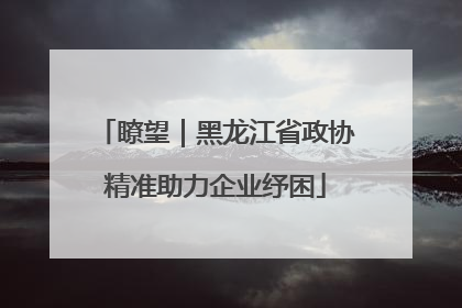 瞭望｜黑龙江省政协精准助力企业纾困