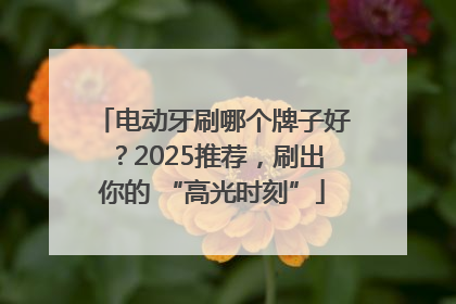 电动牙刷哪个牌子好？2025推荐，刷出你的 “高光时刻”