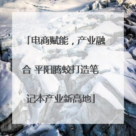 电商赋能，产业融合 平阳腾蛟打造笔记本产业新高地