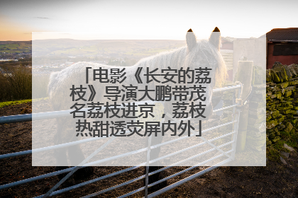 电影《长安的荔枝》导演大鹏带茂名荔枝进京，荔枝热甜透荧屏内外