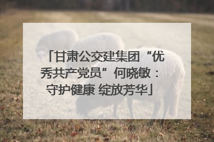 甘肃公交建集团“优秀共产党员”何晓敏：守护健康 绽放芳华
