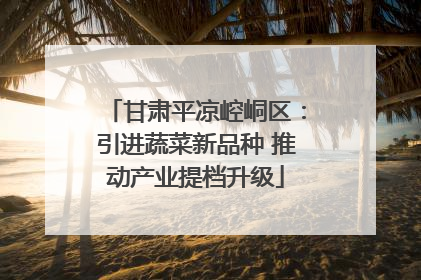 甘肃平凉崆峒区：引进蔬菜新品种 推动产业提档升级