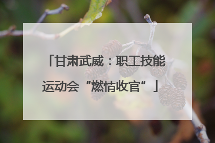 甘肃武威：职工技能运动会“燃情收官”