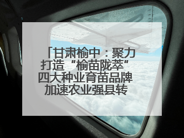 甘肃榆中：聚力打造“榆苗陇萃”四大种业育苗品牌 加速农业强县转型步伐