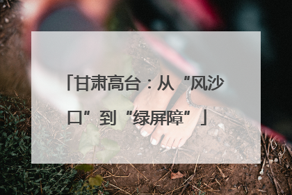 甘肃高台：从“风沙口”到“绿屏障”