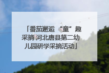番茄邂逅 “童”趣采摘 河北唐县第二幼儿园研学采摘活动