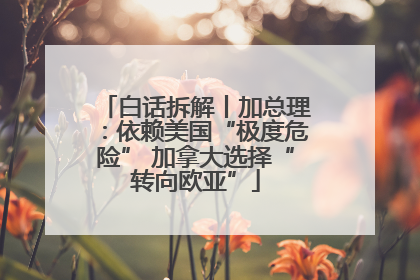 白话拆解丨加总理：依赖美国“极度危险” 加拿大选择“转向欧亚”
