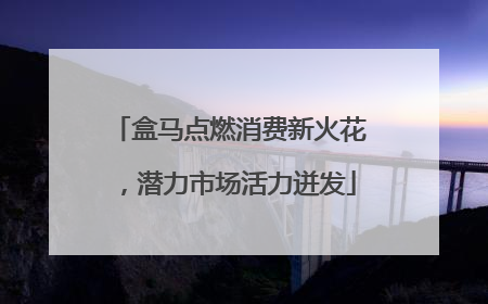 盒马点燃消费新火花，潜力市场活力迸发