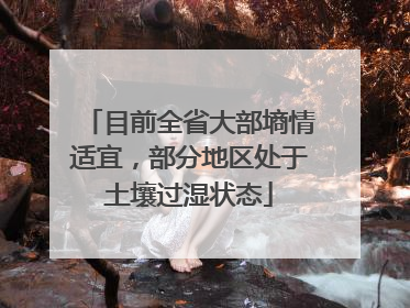 目前全省大部墒情适宜，部分地区处于土壤过湿状态