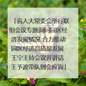 省人大常委会举行联组会议专题询问园区经济发展情况 合力推动园区经济高质量发展 王宁主持会议并讲话 王予波带队到会应询