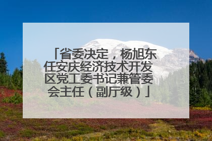 省委决定，杨旭东任安庆经济技术开发区党工委书记兼管委会主任（副厅级）