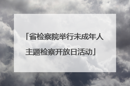 省检察院举行未成年人主题检察开放日活动