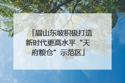 眉山东坡积极打造新时代更高水平“天府粮仓”示范区