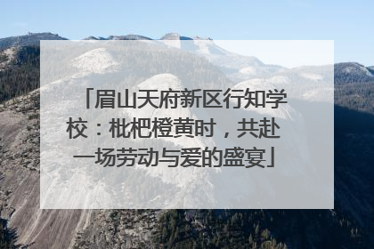 眉山天府新区行知学校：枇杷橙黄时，共赴一场劳动与爱的盛宴