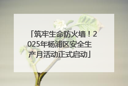 筑牢生命防火墙！2025年杨浦区安全生产月活动正式启动