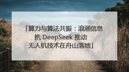 算力与算法共振：浪潮信息携 DeepSeek 推动无人机技术在舟山落地