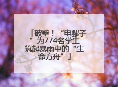 破壁！“电骡子”为774名学生筑起暴雨中的“生命方舟”