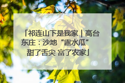 祁连山下是我家｜高台东庄：沙地“露水瓜” 甜了舌尖 富了农家