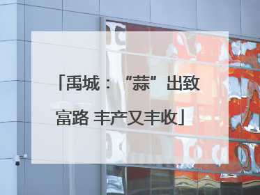 禹城：“蒜”出致富路 丰产又丰收