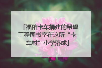 福佑卡车捐建的希望工程图书室在这所“卡车村”小学落成