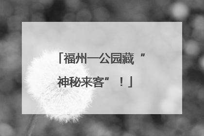 福州一公园藏“神秘来客”！