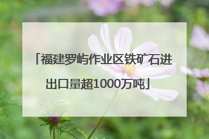 福建罗屿作业区铁矿石进出口量超1000万吨
