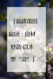 福建莆田展团：良材妙造 以木塑“灵”