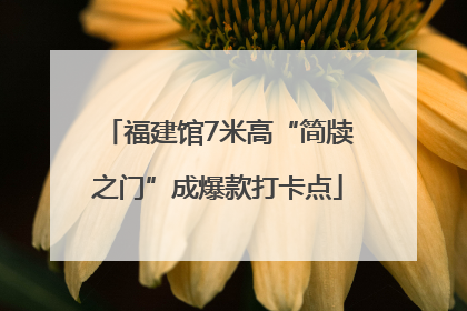 福建馆7米高“简牍之门”成爆款打卡点