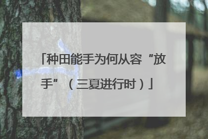 种田能手为何从容“放手”（三夏进行时）