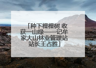 种下棵棵树 收获一山绿——记牟家大山林业管理站站长王占胜